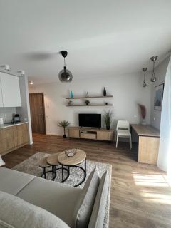 Modern Apartment next to Kaunas castle - 9