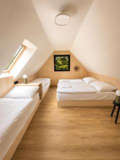 Glamping Lesní Louka - Velké Dářko, Vysočina - 4