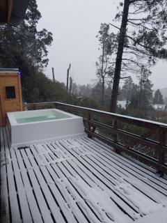 Refugio de bosque con Jacuzzi en terraza y Vista panorámica al lago - 2