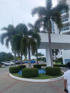 Laguna Pearl de playa - 2