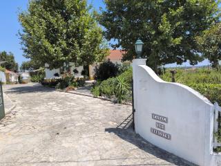 Casinha Robusto - 7
