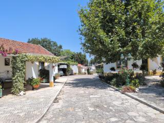 Casinha Robusto - 8