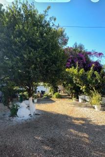 Chalé da mosa - 9