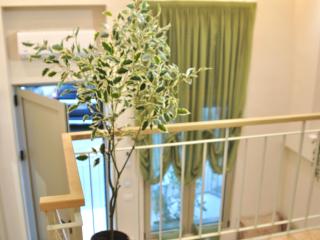 Fleeville Zhan Apartment 1 - 2