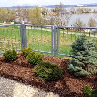 Pálavské Vinohrady - 1