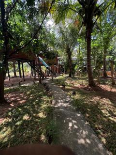 Sigiri Coconut Tree House - 1
