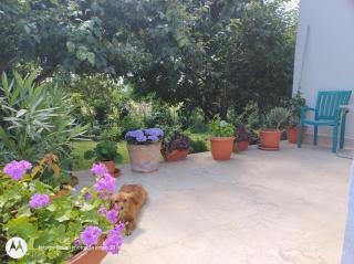 Casa Albinelor - Apartament 2-6 persoane - Braşov - 2