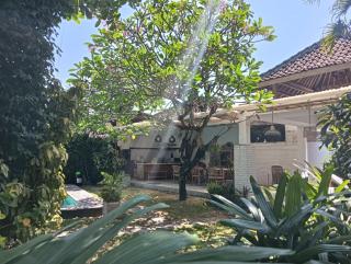 Alita Sanur - 8