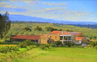 Couto dos Pardinhos - Monforte da Beira - 4