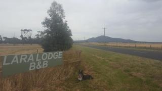 Lara Lodge - Lara - 1