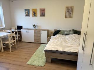 Studio with free parking and Easy Access to Ljubljana - 3