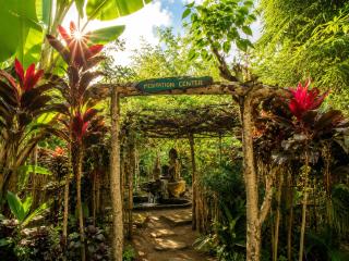 bucu hidden guest house, and meditation center - 9