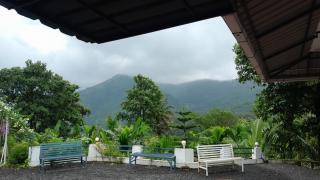 Taarzans Paithal Mist - 8