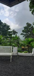 Taarzans Paithal Mist - 4