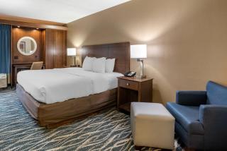 Comfort Inn & Suites Newark - Wilmington - 3