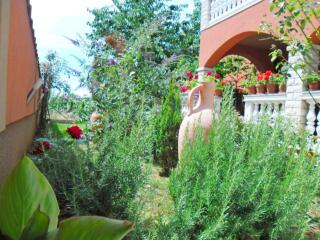 Apartments Anto - Pula - 8