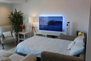 Sopela Near Bilbao with Sea Views - 1