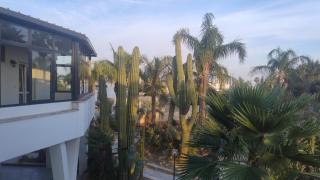 Villa Blu Dea room & apartment - 4