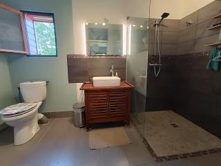 maison spacieuse avec Spa et cinéma pour famille ou groupe - 9