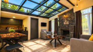 7 Cottage in Bakuriani - 3