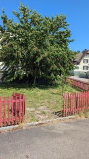 Moderne, helle Wohnung mit offenem Wohnkonzept - 8
