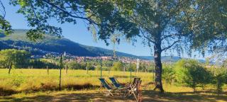 Camping Les Vosges du Nord - Oberbronn - 9