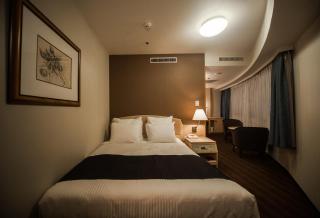 ANA Crowne Plaza Matsuyama by IHG - 4