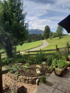 Stallehen - 1