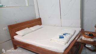 Moltel Hoa Mười Giờ 2 - 5