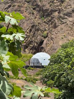 Sodade Eco Camp - 8
