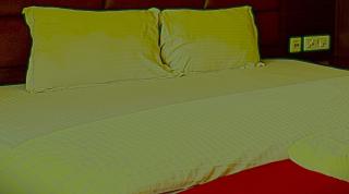 Hotel Ghumog Stay In Kasauli - 3