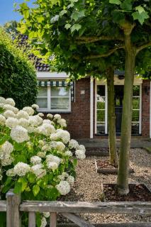 The Cosy Cottage - Comfort Sauna & Hot Tub in Private Garden - 2
