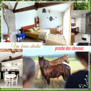 Studio du domaine équestre B & G - 0