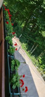 Appart-Pension Seehang - 8