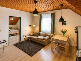 Apartmán Lungau - 4