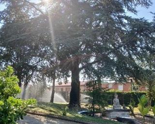 La Casina del Puente - 4