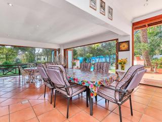 Aristo Oasis BnB - 3