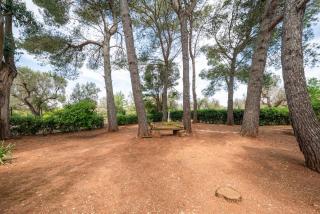 Casa Serena Villa with Pine Grove, Jacuzzi & BBQ - 1