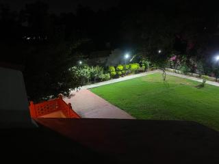 green desert - 4