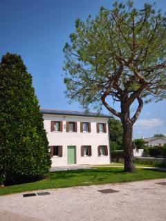 L'Albero del Tempo - 7
