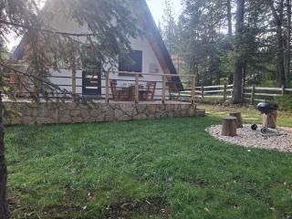 Pine Forest Chalet - 2