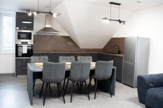 Apartmán Nejedlého - 7