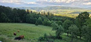 Panorama Trojmezí - 2