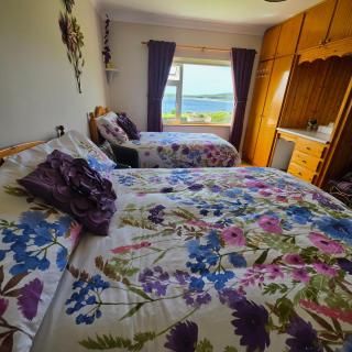 The Plough B&B - 8