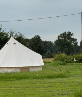 Vallimäe Glamping Otepää - 3
