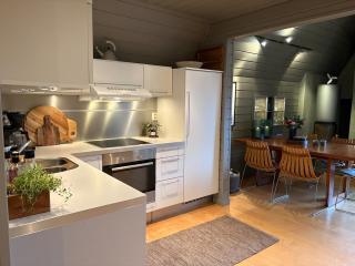 Delicate top apartment with large terrace in Bjorli - 4