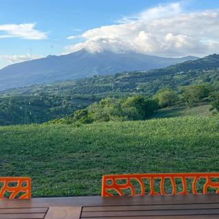 Villa Floru - 0