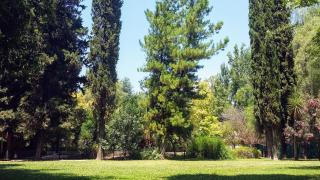 De Barro y Caña - Casa quinta con gran parque y piscina en zona privilegiada - 5