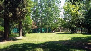 De Barro y Caña - Casa quinta con gran parque y piscina en zona privilegiada - 4