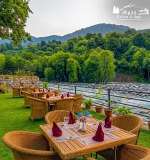 Span Resort & Spa, Manali - A Luxury Riverside Resort - 7